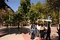 IMG_6239.jpg