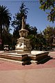 IMG_6243.jpg