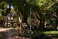 IMG_6244.jpg