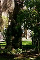 IMG_6253.jpg