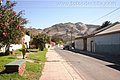 IMG_6271.jpg