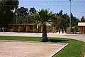 IMG_6415.jpg