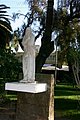 IMG_7101.jpg