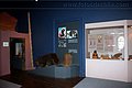 IMG_6284.jpg