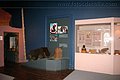 IMG_6285.jpg