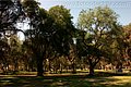IMG_6338.jpg