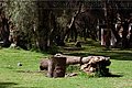 IMG_6344.jpg