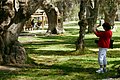 IMG_6346.jpg