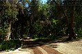IMG_6347.jpg