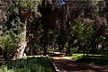 IMG_6350.jpg