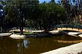 IMG_6362.jpg