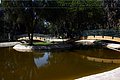 IMG_6363.jpg