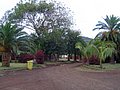 Isla de Pascua 2006 009.jpg