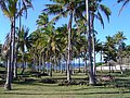 Isla de Pascua 2006 260.jpg