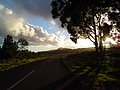 Isla de Pascua 2006 277.jpg