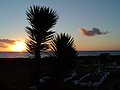 Isla de Pascua 2006 281.jpg