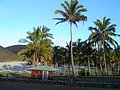 Isla de Pascua 2006 371.jpg