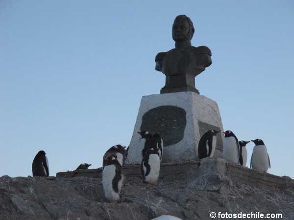 antartica-17.jpg