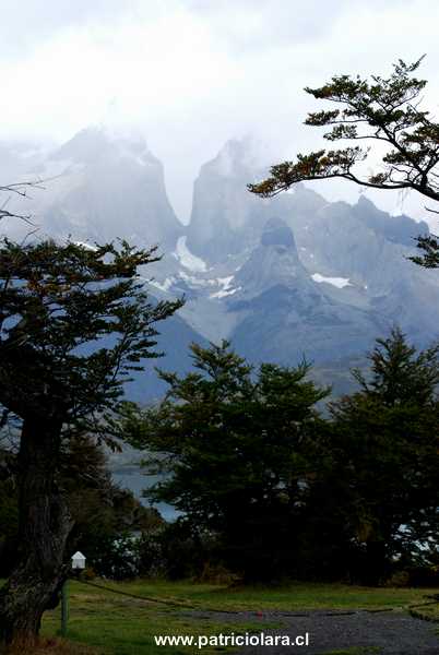 DSC_1205.JPG
