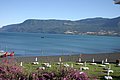 IMG_0846.JPG