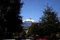 IMG_0858.JPG