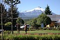 IMG_0860.JPG