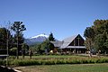 IMG_0861.JPG